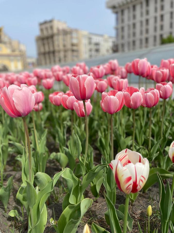 Однокімнатні Апартаменти На Майдані, Дистанційне Заселення 24Х7 Kiev Eksteriør billede